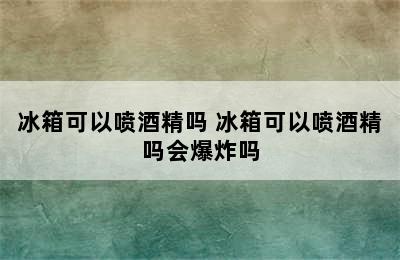 冰箱可以喷酒精吗 冰箱可以喷酒精吗会爆炸吗